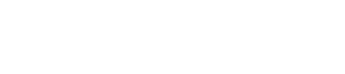 Pollux Automation — 30 anos